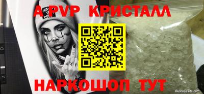 СК Новокубанск