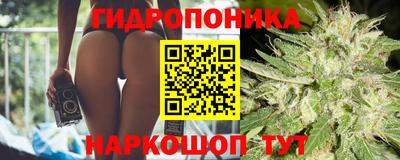 кокаин Новодвинск