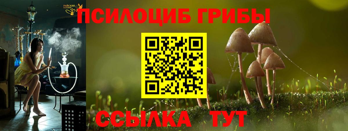 Псилоцибиновые грибы ЛСД Урай